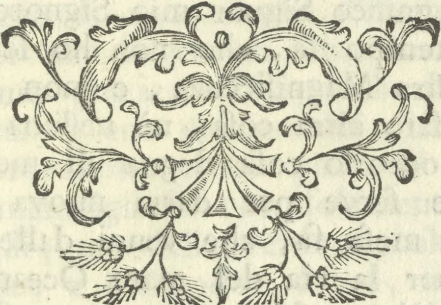 An illustration from Vita e lettere di Amerigo Vespucci, gentiluomo fiorentino, 1745, leaf 150