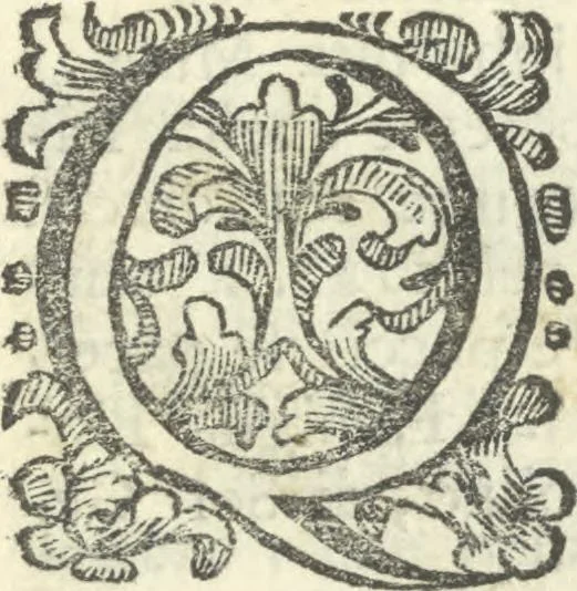 An illustration from Vita e lettere di Amerigo Vespucci, gentiluomo fiorentino, 1745, leaf 16