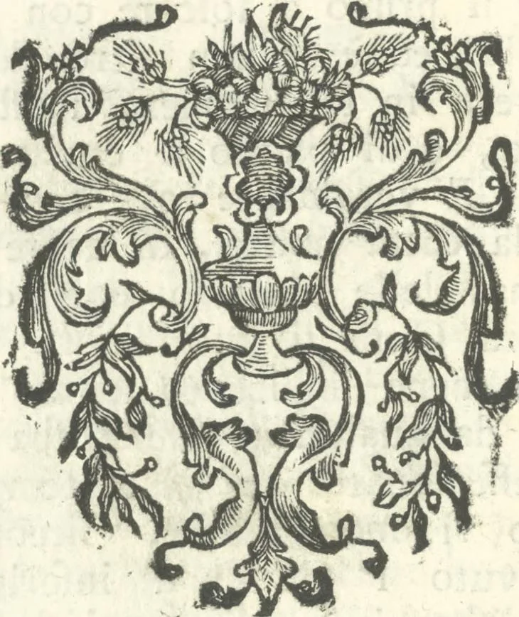 An illustration from Vita e lettere di Amerigo Vespucci, gentiluomo fiorentino, 1745, leaf 83