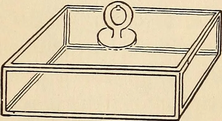 An illustration from Later magic, 1904, leaf 101