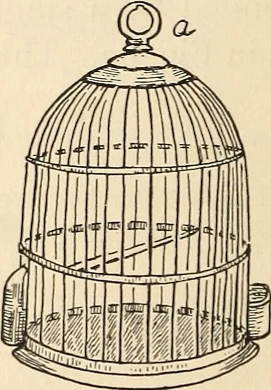 An illustration from Later magic, 1904, leaf 102