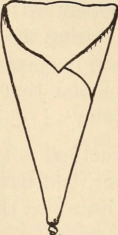 An illustration from Later magic, 1904, leaf 165