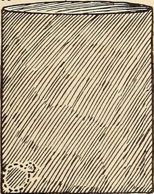 An illustration from Later magic, 1904, leaf 169