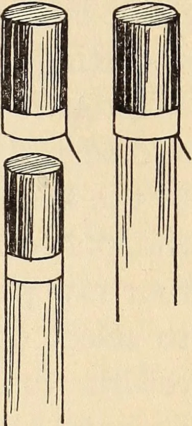 An illustration from Later magic, 1904, leaf 221
