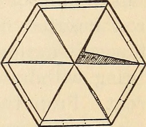 An illustration from Later magic, 1904, leaf 229
