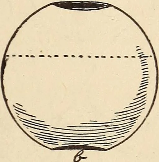 An illustration from Later magic, 1904, leaf 247