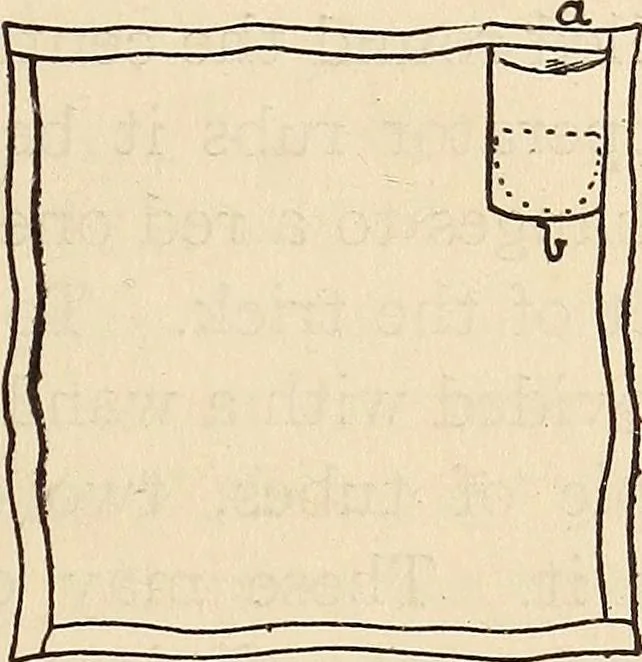 An illustration from Later magic, 1904, leaf 273