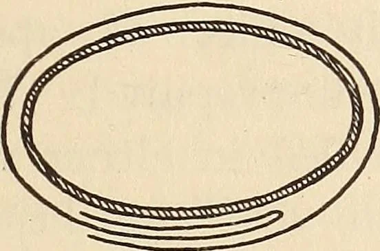 An illustration from Later magic, 1904, leaf 335