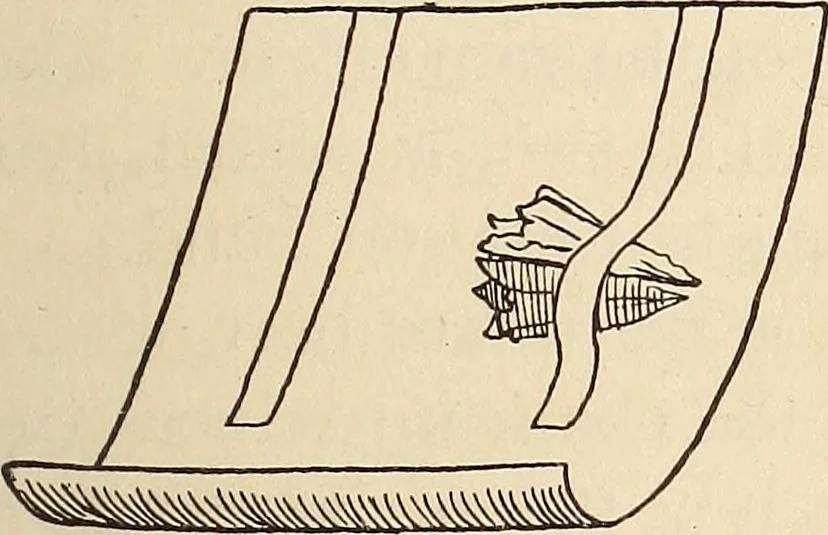 An illustration from Later magic, 1904, leaf 343