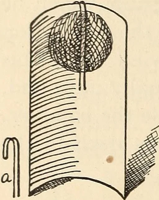 An illustration from Later magic, 1904, leaf 382