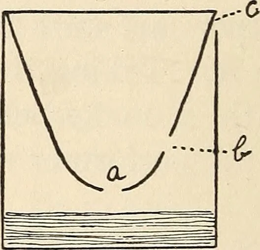 An illustration from Later magic, 1904, leaf 464