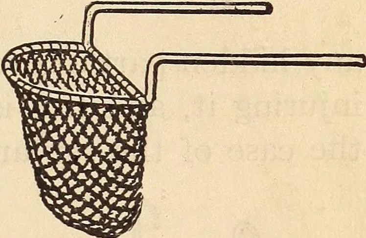 An illustration from Later magic, 1904, leaf 47