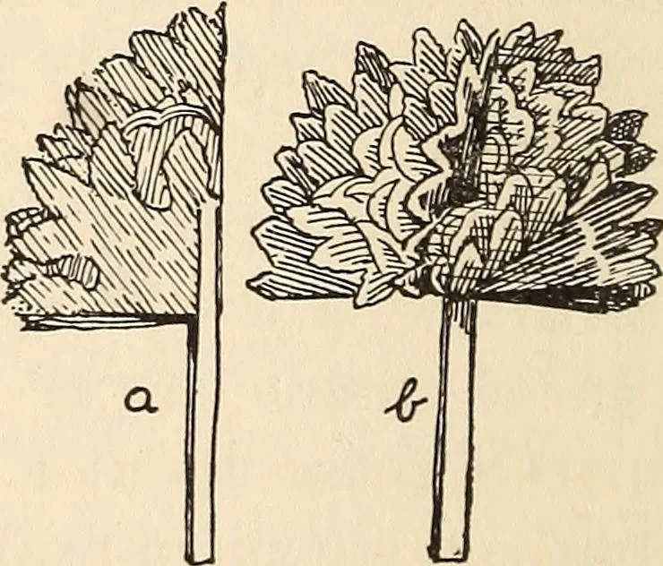 An illustration from Later magic, 1904, leaf 476