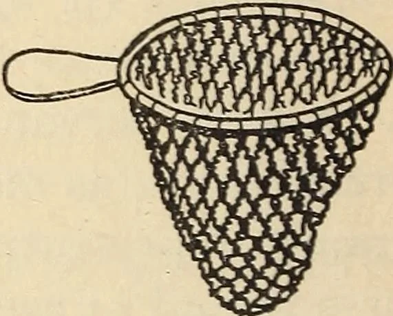 An illustration from Later magic, 1904, leaf 48