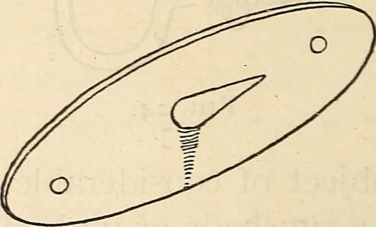 An illustration from Later magic, 1904, leaf 54