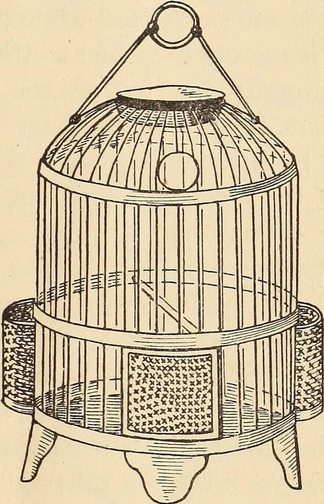 An illustration from Later magic, 1904, leaf 545