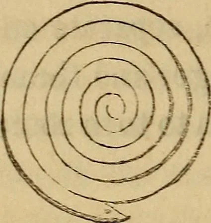 An illustration from Parlour magic., 1838, leaf 138