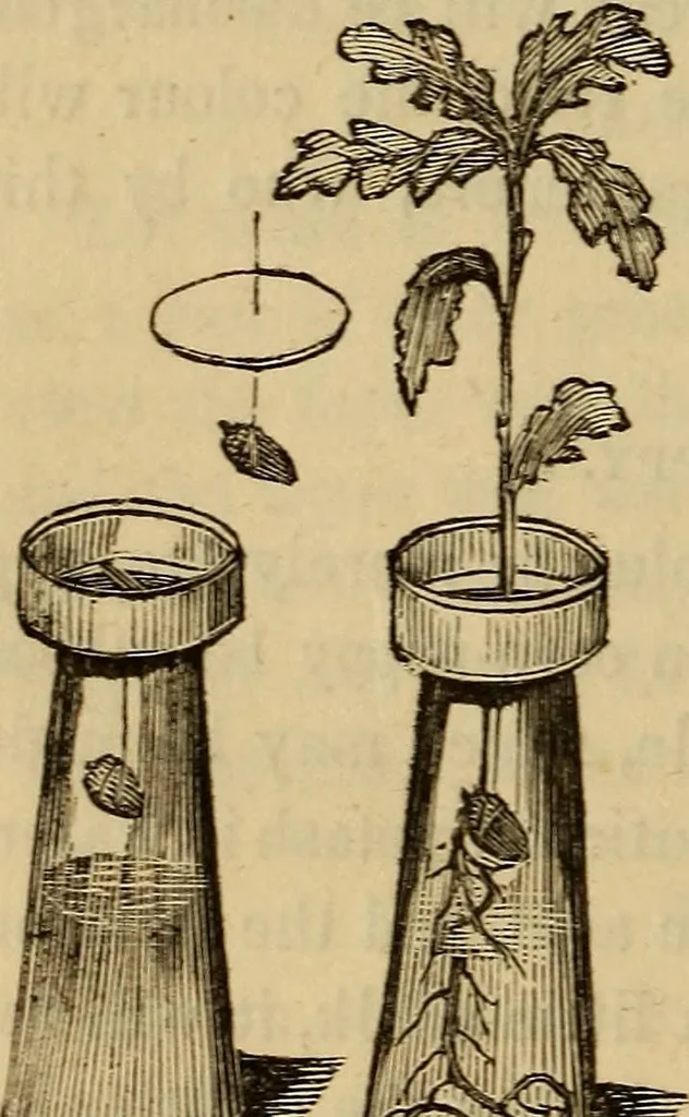 An illustration from Parlour magic., 1838, leaf 26