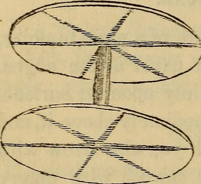 An illustration from Parlour magic., 1838, leaf 64
