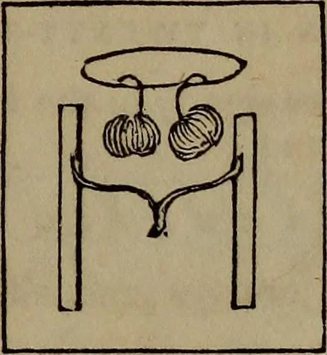 An illustration from The boy's own book; a complete encylopedia of all the diversion, athletic, scientific and recreative, of boyhood and youth., 1834, leaf 219