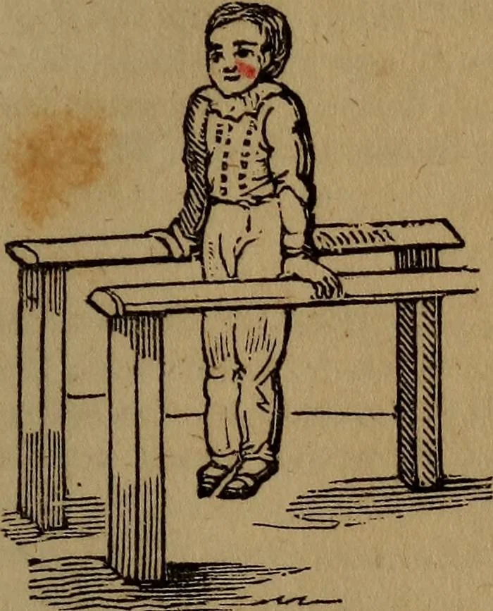 An illustration from The boy's own book; a complete encylopedia of all the diversion, athletic, scientific and recreative, of boyhood and youth., 1834, leaf 65