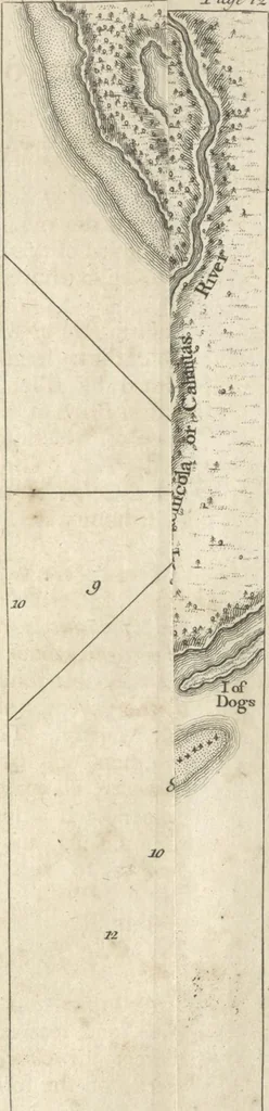 An illustration from An account of the first discovery, and natural history of Florida : with a particular detail of the several expeditions and descents made on that coast, 1763, leaf 40
