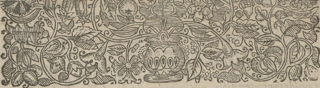 An illustration from Natural magick,, 1658, leaf 13