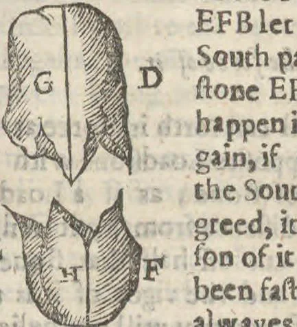 An illustration from Natural magick,, 1658, leaf 205