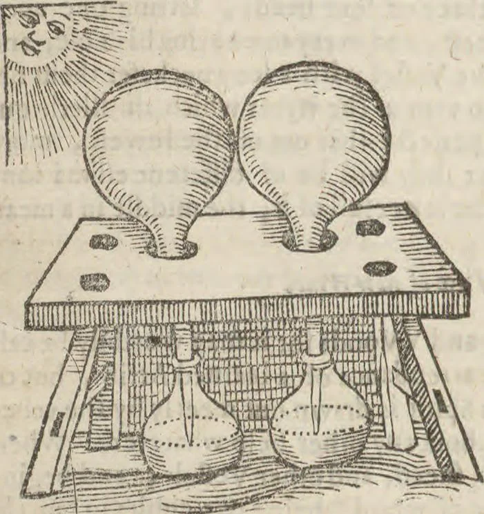An illustration from Natural magick,, 1658, leaf 266