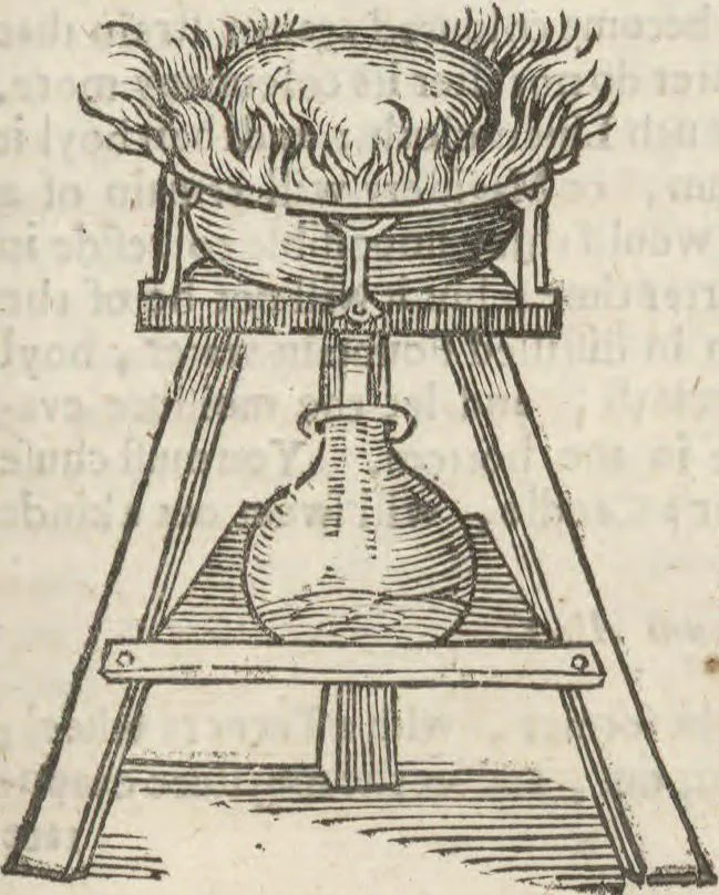 An illustration from Natural magick,, 1658, leaf 277