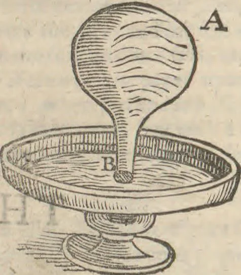 An illustration from Natural magick,, 1658, leaf 388