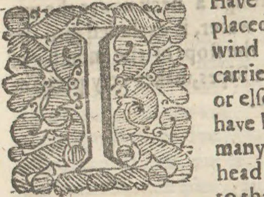 An illustration from Natural magick,, 1658, leaf 395
