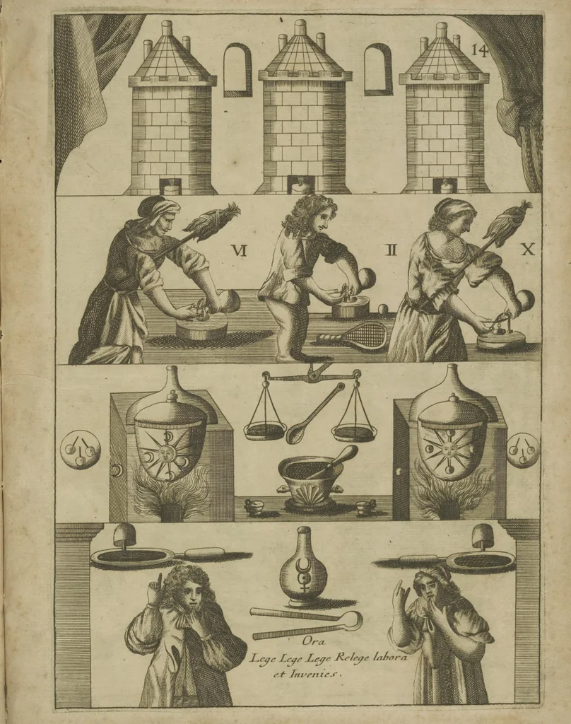 An illustration from Mutus liber,, 1702, leaf 31