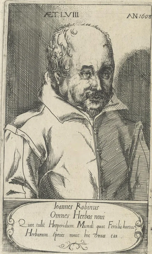 An illustration from Le iardin du roy très chrestien Henry IV roy de France et de Navare : dédié à la royne, 1608, leaf 21