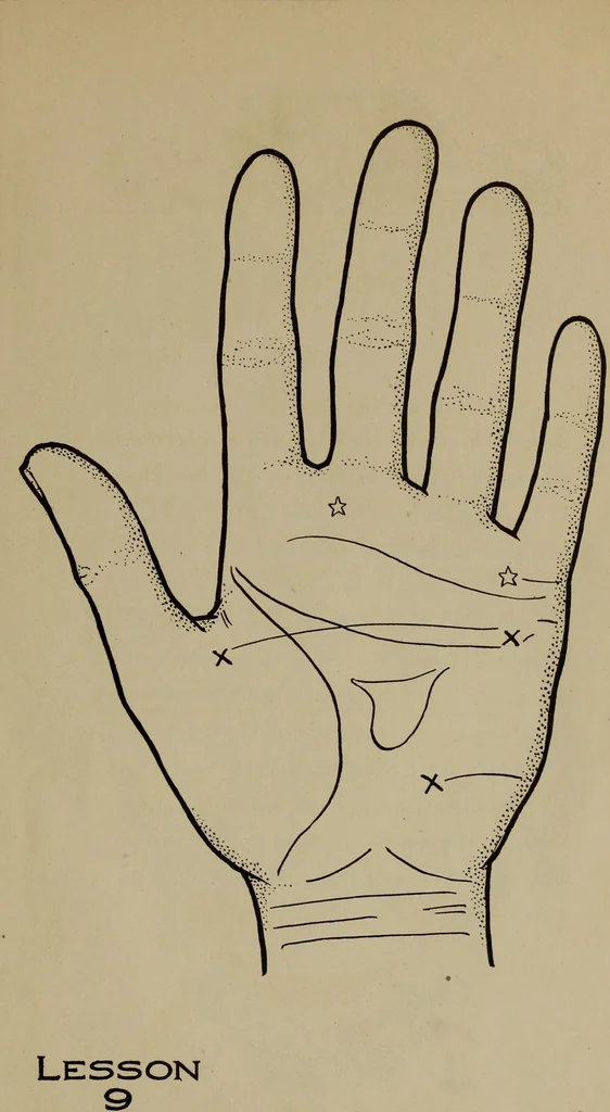 An illustration from Forty lessons in palmistry; the language of the hands easily comprehended, 1914, leaf 29
