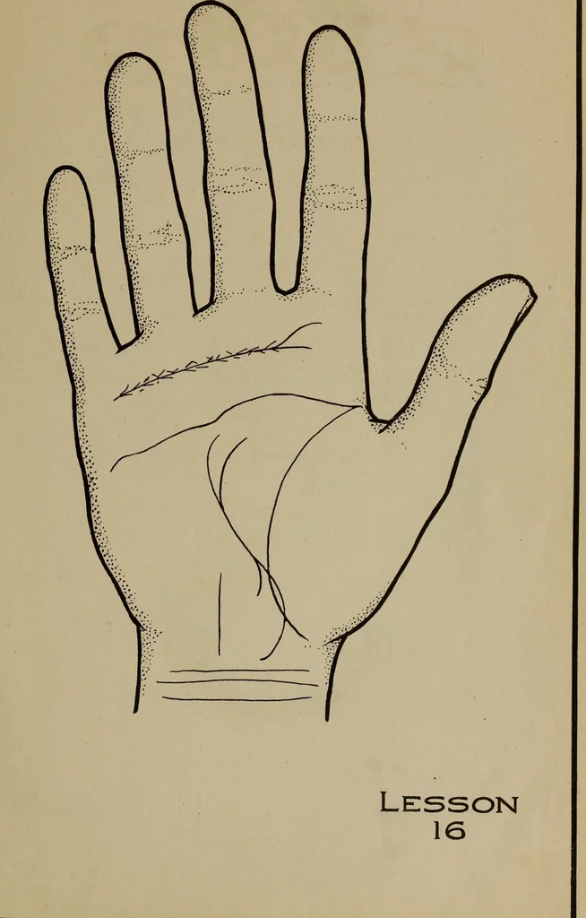 An illustration from Forty lessons in palmistry; the language of the hands easily comprehended, 1914, leaf 43