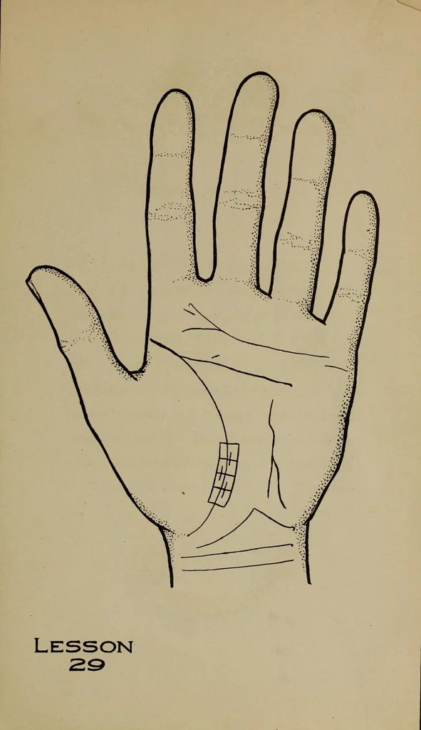 An illustration from Forty lessons in palmistry; the language of the hands easily comprehended, 1914, leaf 69