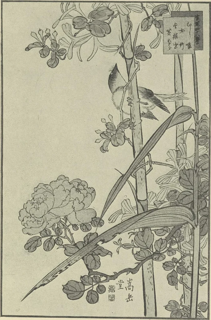 An illustration from From Holbein to Whistler, notes on drawing and engraving, / by Alfred Mansfield Brooks., 1920, leaf 50