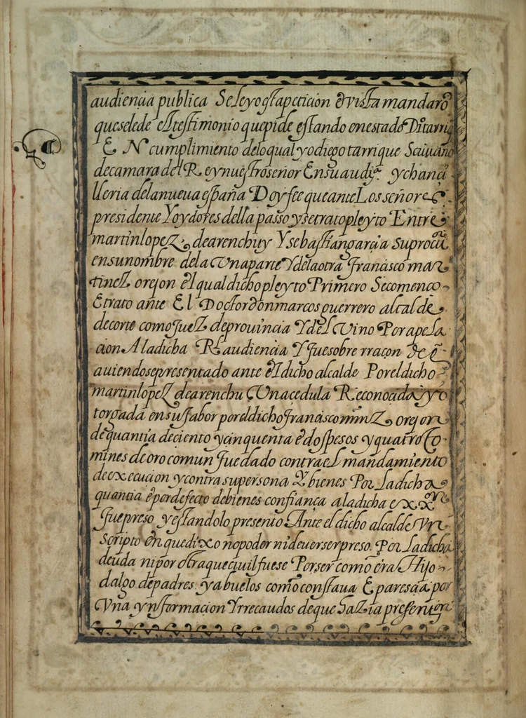 An illustration from [Carta confirmatoria de hidalguía], 1600, leaf 10