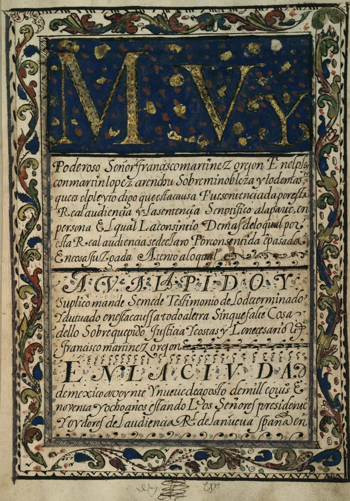 An illustration from [Carta confirmatoria de hidalguía], 1600, leaf 9