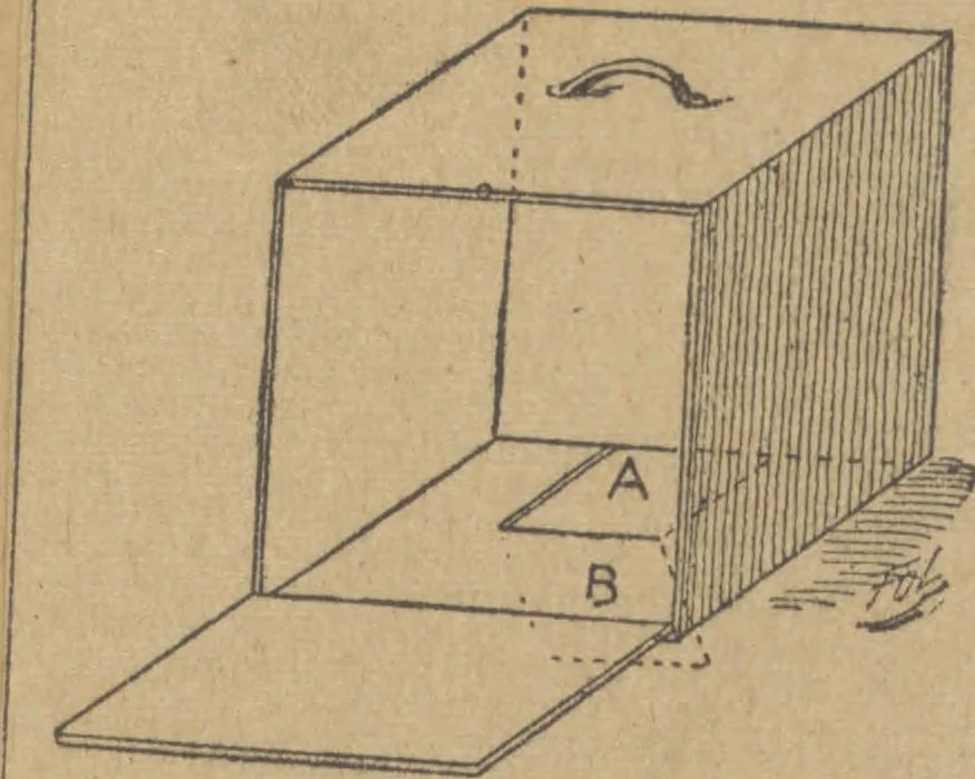 An illustration from [Manuscript scrapbook of magic tricks], [1902-1919], 1902, leaf 535