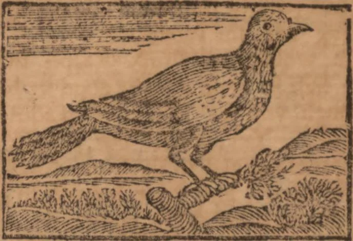An illustration from The history of little Goody Twoshoes, otherwise called Mrs. Margery Twoshoes : with the means by which she acquired her learning and wisdom and in consequence thereof her estate ... see the original manuscript in the Vatican at Rome, and the cuts by Michael Angelo, illustrated with the comments of our great modern criticks, 1787, leaf 110