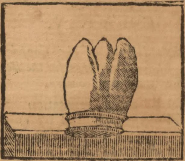 An illustration from The history of little Goody Twoshoes, otherwise called Mrs. Margery Twoshoes : with the means by which she acquired her learning and wisdom and in consequence thereof her estate ... see the original manuscript in the Vatican at Rome, and the cuts by Michael Angelo, illustrated with the comments of our great modern criticks, 1787, leaf 124