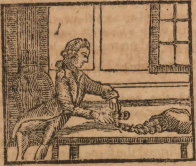 An illustration from The history of little Goody Twoshoes, otherwise called Mrs. Margery Twoshoes : with the means by which she acquired her learning and wisdom and in consequence thereof her estate ... see the original manuscript in the Vatican at Rome, and the cuts by Michael Angelo, illustrated with the comments of our great modern criticks, 1787, leaf 149