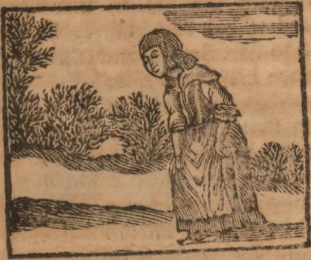 An illustration from The history of little Goody Twoshoes, otherwise called Mrs. Margery Twoshoes : with the means by which she acquired her learning and wisdom and in consequence thereof her estate ... see the original manuscript in the Vatican at Rome, and the cuts by Michael Angelo, illustrated with the comments of our great modern criticks, 1787, leaf 29