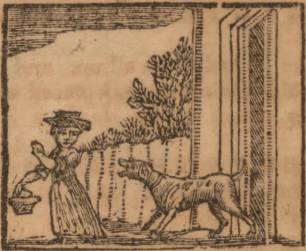 An illustration from The history of little Goody Twoshoes, otherwise called Mrs. Margery Twoshoes : with the means by which she acquired her learning and wisdom and in consequence thereof her estate ... see the original manuscript in the Vatican at Rome, and the cuts by Michael Angelo, illustrated with the comments of our great modern criticks, 1787, leaf 40