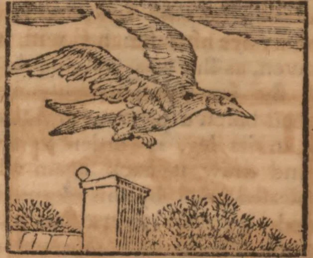 An illustration from The history of little Goody Twoshoes, otherwise called Mrs. Margery Twoshoes : with the means by which she acquired her learning and wisdom and in consequence thereof her estate ... see the original manuscript in the Vatican at Rome, and the cuts by Michael Angelo, illustrated with the comments of our great modern criticks, 1787, leaf 80