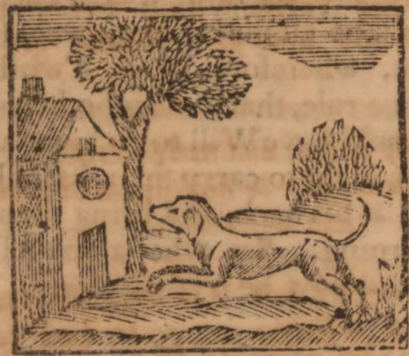 An illustration from The history of little Goody Twoshoes, otherwise called Mrs. Margery Twoshoes : with the means by which she acquired her learning and wisdom and in consequence thereof her estate ... see the original manuscript in the Vatican at Rome, and the cuts by Michael Angelo, illustrated with the comments of our great modern criticks, 1787, leaf 85
