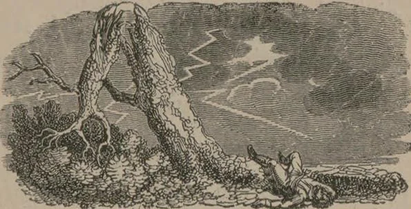 An illustration from Mémoires : récréatifs, scientifiques et anecdotiques, 1831, leaf 106