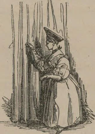 An illustration from Mémoires : récréatifs, scientifiques et anecdotiques, 1831, leaf 441